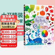 Usborne出品 顏色的奧秘 孩子的色彩啟蒙全書 英文原版繪本 Big Book of Colours 孩子的色彩啟蒙全書 藝術啟蒙 色彩認知大書