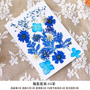 三棲虎實(shí)木相框DIY材料干花花束照片手工定制擺件客廳擺設北歐風(fēng)送閨蜜 DIY干花+魅藍花束