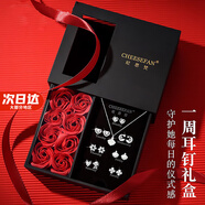 紀思梵（CHEESEFAN）輕奢耳釘女耳環(huán)一套禮盒情人節生日禮物送女友 時(shí)尚款白金色耳釘+項鏈