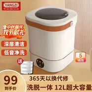 YANGZI揚(yáng)子集團(tuán)半全自動(dòng)迷你洗衣機(jī)小型洗脫一體 內(nèi)衣內(nèi)褲洗衣機(jī)學(xué)生宿舍 嬰兒洗襪子機(jī)帶脫水租房半自動(dòng) 升級(jí)款12L白【藍(lán)光+CLE深度清潔+低音凈洗】
