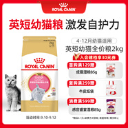 皇家貓糧 英短幼貓糧 BSK38 通用糧 4-12月 2KG