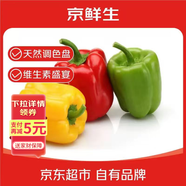 京鮮生 山東三色彩椒 圓椒甜椒新鮮蔬菜 凈重3斤單果120g起源頭直發(fā)包郵