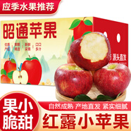 京地達云南昭通紅露小蘋(píng)果 凈重9斤單果75mm新鮮丑蘋(píng)果源頭直發(fā)包郵