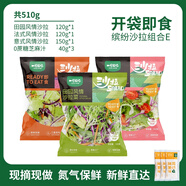 一號農場(chǎng)開(kāi)袋即食沙拉組合意式法式田園混合輕食代餐色拉生菜蔬菜沙拉健身 田園*1+法式*1+意式*1+芝麻醬*3