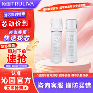 沁園（TRULIVA）沁園曜日凈水器濾芯常換套裝UR-S5846H/UR-S51048H無(wú)RO膜【復合*1+附件炭棒*1】共2支無(wú)贈品