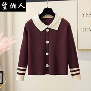 望湘人秋季毛衣女韓風(fēng)娃娃領(lǐng)修身套頭條紋學(xué)院風(fēng)打底針織衫上衣秋冬長(cháng)袖 磚紅色 磚紅色 均碼