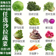 千牛優(yōu)福沙拉蔬菜輕食食材新鮮混合生菜可生吃涼拌輕食西餐專用沙拉 水果黃瓜 500g
