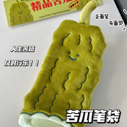 苦瓜毛絨筆袋搞笑拉鏈?zhǔn)绞占{袋耐臟大容量學(xué)生桌面整理小眾文具鉛筆盒 苦瓜筆袋 尺子磨壞了買套尺子共4把