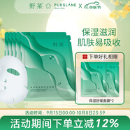 野菜透明質(zhì)酸鈉保濕面膜補水面膜深層補水保濕鎖住水分男女通用 野菜透明質(zhì)酸鈉保濕面膜5片