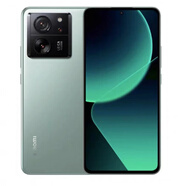 小米（MI）UI 小米 Xiaomi 13T Pro港澳行貨 海外版版 全新智能手機 小米13T 原野綠【配通用包裝送充電器】 12+256GB x 標配