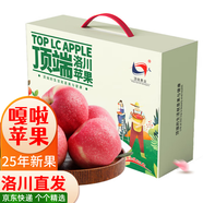 洛川蘋果陜西嘎啦蘋果2025年頭茬新果新鮮采摘現(xiàn)摘現(xiàn)發(fā)新鮮蘋果水果 10枚80mm禮盒裝