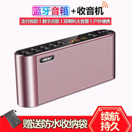 科凌（KELING） Q8無線藍牙音箱雙喇叭重低音炮手機便攜式戶外老人收音機插卡U盤迷你愛度播放器 玫瑰金【標(biāo)配】