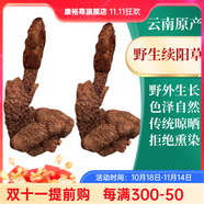 康裕尊  【純野外】鎖陽(yáng)肉蓯蓉淫羊藿內(nèi)蒙古整根另三君子泡酒泡水 【續(xù)陽(yáng)草380-420克/根】 當(dāng)季新貨