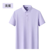 金盾（KIN DON）金盾短袖純色polo衫男士2025夏季新款商務(wù)休閑翻領(lǐng)T恤 淺紫 L