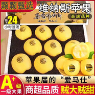 正宗黃金維納斯蘋(píng)果9斤當季現摘新鮮水果脆甜冰糖心奶油富士蘋(píng)果Y 3斤大果【 4-6個(gè)】