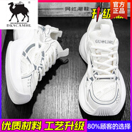 得克薩駱駝 DKSCAMHL男鞋2025新款夏季網(wǎng)面透氣休閑香港潮牌厚底增高運(yùn)動(dòng)小白老爹潮鞋 白色(升級(jí)款) 39 標(biāo)準(zhǔn)運(yùn)動(dòng)碼