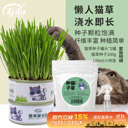壽禾 貓草種子種苗小麥種子土培水培盆栽種植罐頭 貓草種子罐套裝B款