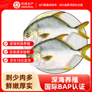 環(huán)球水產(chǎn) 南海金鯧魚(yú)700g 2條 BAP認證深海魚(yú) 冷凍 魚(yú)類(lèi)海鮮 中秋家庭聚餐