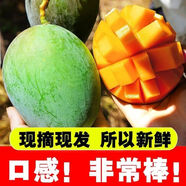 凱特大青芒果水果新鮮當季3/5/10斤裝整箱批發(fā) 帶箱9-10斤裝 中果【精選】
