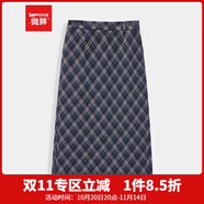 IEF/愛依服【微胖】大碼女裝2025秋冬新款法式通勤百搭格子長(zhǎng)包裙 灰藍(lán)格 2XL