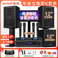 夏新家庭ktv音響套裝點歌機卡拉ok點唱一體機家用家庭影院K歌會議室設(shè)備全套電視客廳音箱專業(yè)唱歌組合 專業(yè)豎箱十二寸立式9件套+十二寸重低音炮