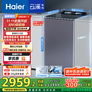 海爾（Haier）【小紅花套系】云溪波輪洗衣機(jī)全自動(dòng)家用 10公斤后控  家電國家補(bǔ)貼 雙動(dòng)力防纏繞MS100-BZ568H