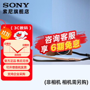 索尼（SONY）索尼微單相機 攝像機適用 2（京倉） E10皮套+腕帶套裝（棕色）新