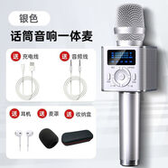 新科（Shinco）D01話(huà)筒音響一體麥克風(fēng)家用手機電視藍牙全民唱K歌神器大音量 太空銀 新科D01 【收納包版】監聽(tīng)耳機