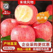 禾境風物 精品煙臺蘋果5斤 產地直發(fā)順豐 單果250g+ 企業(yè)福利采購 【彩箱送禮】精選8.5斤 單果250g+