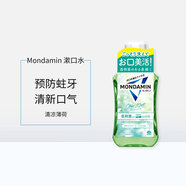 earthMondamin漱口水清新口氣清潔口腔預(yù)防蛀牙清洗食物殘渣日本直郵 漱口水 薄荷 600ml