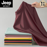 JEEP SPIRIT莫代爾長袖t恤男半高領(lǐng)雙面德絨純色內(nèi)搭秋冬打底衫加絨中領(lǐng)秋衣 19000【莫代爾】酒紅色 M