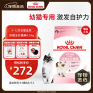 皇家幼貓貓糧 幼貓奶糕 K36 通用糧 4-12月 4.5KG