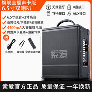 索愛（soaiy）藍(lán)牙音箱戶外音響德國柏林之聲音大音量高音質(zhì)K歌低音炮廣場舞店 旗艦聲卡版【雙喇叭+藍(lán)牙+消原音 +2支無線話筒
