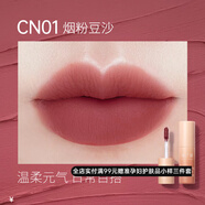 澳蘭黛（AOCILENDA）準(zhǔn)孕婦口紅媽媽啞光唇泥霧感唇膏學(xué)生唇妝彩妝化妝品潤(rùn)唇彩妝打底 CN01-煙粉豆沙