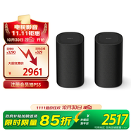 索尼（SONY）SA-RS8 后環(huán)繞音箱 RS3S升級款 家庭影院 適配A9000 A8000 A3000