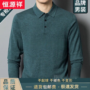 恒源祥秋冬季羊毛衫polo男長(cháng)袖春秋羊毛衫中年大碼體恤毛衣純色打底線(xiàn)衣 鉆石綠 180/96A 建議155-175斤