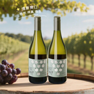 CASTLEBRAE搶鮮新西蘭馬爾堡長相思干白葡萄酒 卡斯博恩小綿羊 小綿羊長相思干白750ml*2