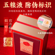 盛世佳釀 五糧液股份公司出品 濃香型 52度 500ml*6瓶 配禮品袋 52度 500mL 6瓶