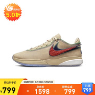 耐克（NIKE）男鞋夏款LeBron 20秋款減震耐磨籃球鞋 DV9089-200 40.5