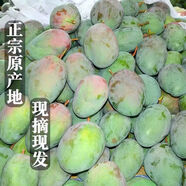 澳芒新鮮水果整箱特大芒果蘋(píng)果芒大號奧芒熱帶甜水果非凱特芒 實(shí)惠-中果【帶箱9-10斤】單果250g