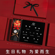 紀(jì)思梵輕奢一周耳釘女生耳環(huán)耳墜首飾情人節(jié)紀(jì)念日生日禮物女送女友老婆 熠熠星輝白金色A款(當(dāng)日/次日達(dá))