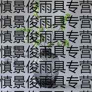 語(yǔ)森憶落地大花瓶吊鐘玻璃感擺件客廳插花玻璃透明水養(yǎng)覆古鮮花水 花器冷灰中+一枝吊鐘馬醉木