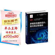 化工過(guò)程強化關(guān)鍵技術(shù)叢書(shū)--多相反應器的設計、放大和過(guò)程強化