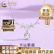 中國黃金（CHINA GOLD）藍桉與鳥(niǎo)純銀項鏈女生2025新款吊墜輕奢生日七夕情人節禮物送女友 足銀*紫藤花開(kāi)項鏈【品牌禮盒】