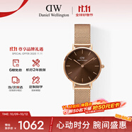 丹尼爾惠靈頓（DanielWellington）DW手女表 全新配色鋼帶女士手表 時(shí)尚歐美表生日禮物DW00100476