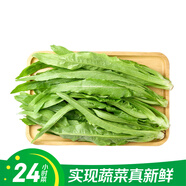 【24小時菜】油麥菜 300g