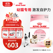 皇家幼貓奶糕 幼貓貓糧 BK34 通用糧 1-4月 10KG