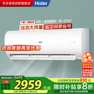 海爾（Haier）空調(diào)2匹掛機(jī)壁掛【小紅花】新一級速冷暖大風(fēng)量除菌自清潔以舊換新KFR-48GW/24P1A181U1政府補(bǔ)貼