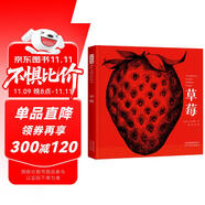 草莓 中英等五種語言對照雙語繪本自然科學(xué)植物種植親近大自然自然觀察體驗3-6歲新宮晉