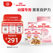 皇家貓糧?幼貓貓糧?干濕搭配?K36 4.5kg+啫喱肉凍KJP 85G*3
